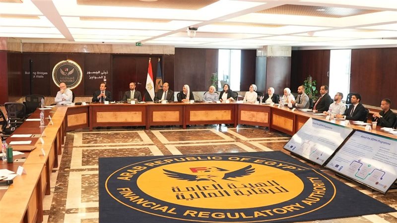 “الرقابة المالية” تعقد ورشة عمل بالتعاون مع الاتحاد الأوروبي وبرنامج الأمم المتحدة الإنمائي