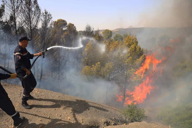 الجزائر تسجل 73 وفاة جراء حرائق الغابات