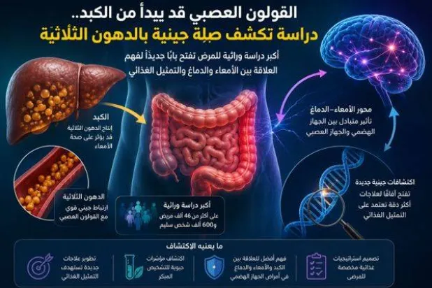 القولون العصبي… قد يبدأ من الكبد