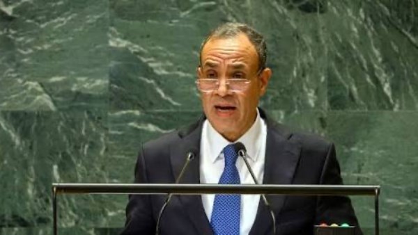 وزير الخارجية: أمن وحوكمة البحر الأحمر مسئولية الدول المشاطئة.. ولا مساس بحرية الملاحة