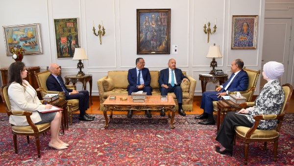 وزير الخارجية يبحث مع وكيـل مجلس النواب وعضو مجلس الشيوخ تطورات الأوضاع الإقليمية والدولية وتعزيز الدبلوماسية البرلمانية