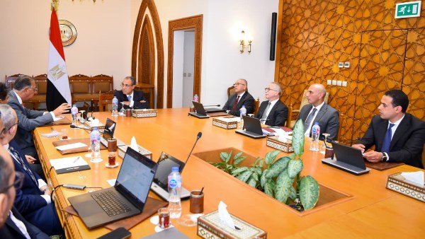 وزير الخارجية يتابع مستجدات إنشاء المنصة الإلكترونية للخدمات القنصلية للمصريين بالخارج