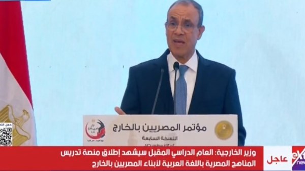 الخارجية: خلية أزمة تتواصل على مدار الساعة لمتابعة أوضاع المصريين بالخارج