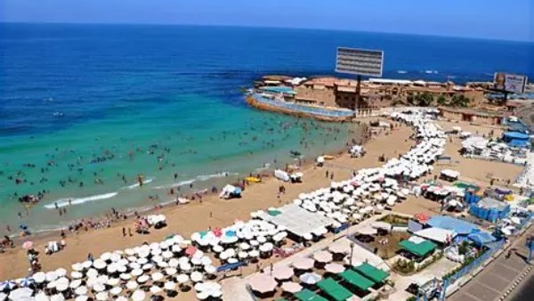 برلماني: حماية شواطئ الإسكندرية استثمار في أمن مصر الاقتصادي والبيئي