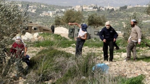 مستوطنون إسرائيليون يقتحمون المقامات الإسلامية في بلدة “كفل حارس”