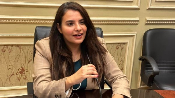 وكيل “خارجية النواب”: لقاء الرئيس السيسي وكوشنر ترسيخ لدور مصر في الاستقرار الإقليمي والدولي