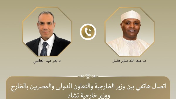 وزير الخارجية: علاقتنا بدولة تشاد تاريخية.. ونحرص على تطويرها