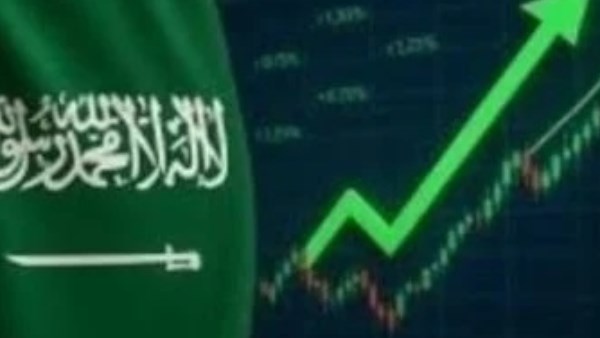 مؤشر سوق الأسهم السعودية يغلق منخفضا