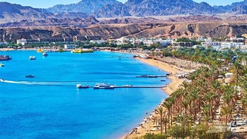 وائل زهير: 9 ملايين سائح زاروا مصر فى النصف الأول من الحالي (فيديو)