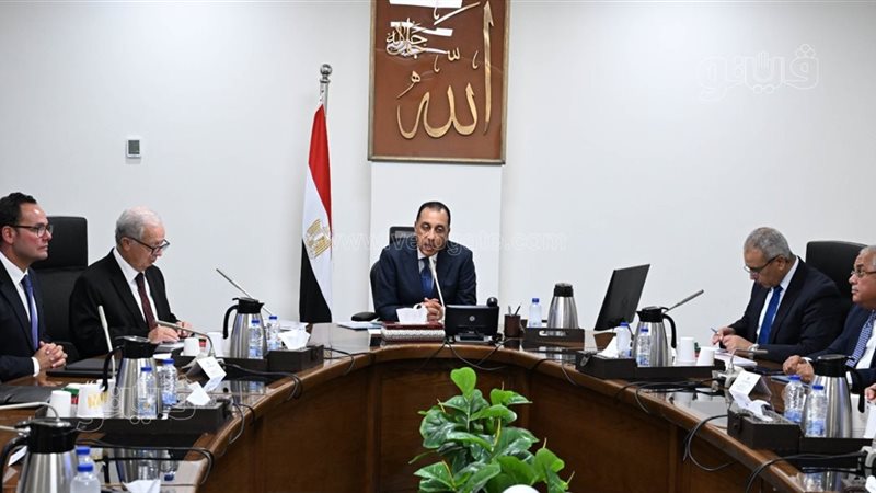 «القطن المصري يعود للعالمية».. مصر تستهدف مضاعفة صادرات الغزل والنسيج