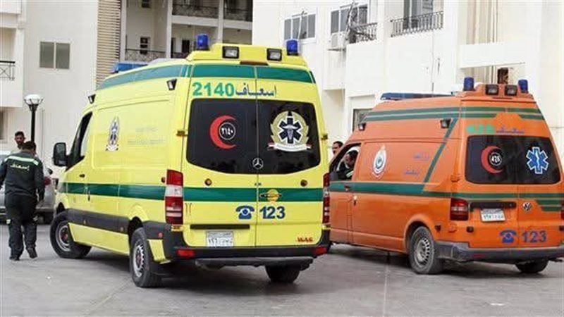 إصابة شخصين في حريق سيارة نقل بالمنصورة