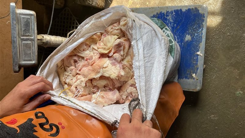 تموين الشرقية يضبط 1.5 طن دواجن و430 كيلو هياكل غير صالحة