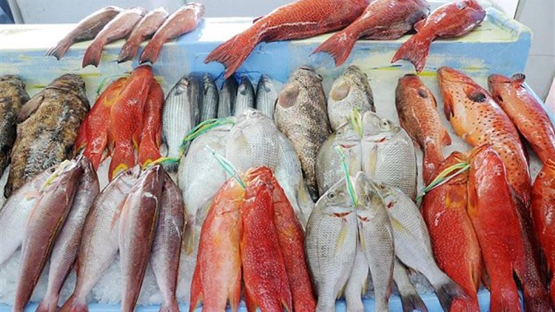 أسعار السمك اليوم، ارتفاع المكرونة 30 جنيها وانخفاض غير مسبوق في قشر البياض