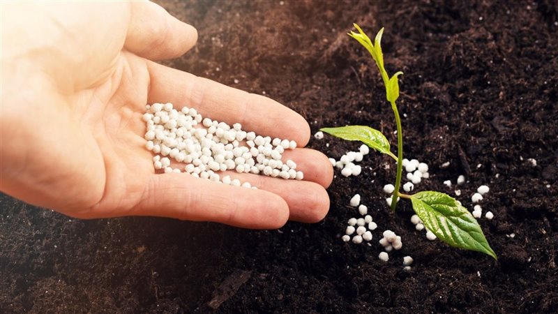 تتجاوز الـ 2000 جنيه، ارتفاع كبير في أسعار الأسمدة اليوم بالأسواق