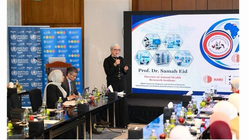 “الصحة الحيوانية” تشارك في ورشة “الفاو” لمواجهة مقاومة المضادات الحيوية