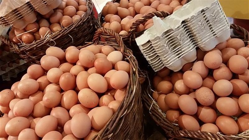 انخفاض الأحمر والأبيض، سعر كرتونة البيض اليوم الأحد في بورصة الدواجن