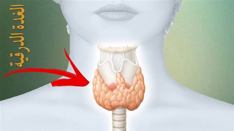 علامات لا يجب تجاهلها، أعراض الغدة الدرقية النشطة