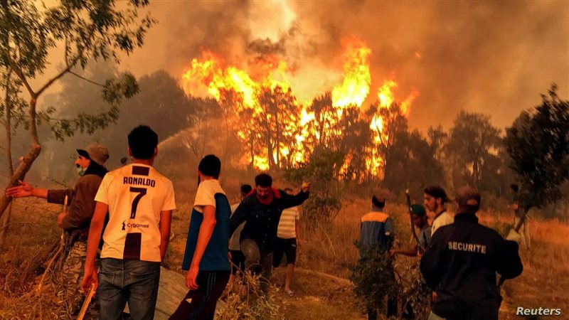مصر تعرب عن تضامنها الكامل مع الجزائر في مواجهة حرائق الغابات