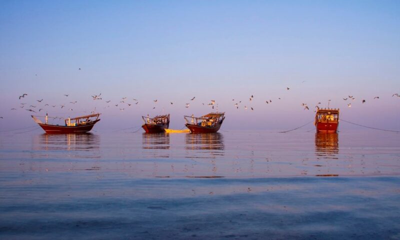 كنز بيئي في عُمان يهدده تسرب نفطي.. تعرف على جزيرة مصيرة