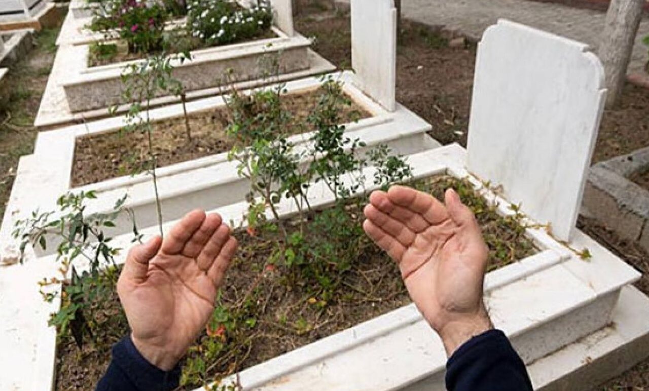هل وضع غصن أخضر على القبر يخفف عن الميت؟.. أمين الإفتاء يجيب