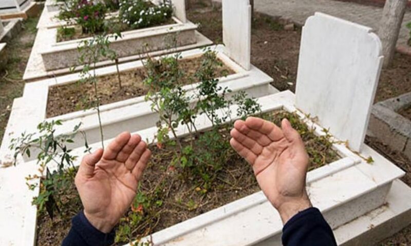 هل وضع غصن أخضر على القبر يخفف عن الميت؟.. أمين الإفتاء يجيب