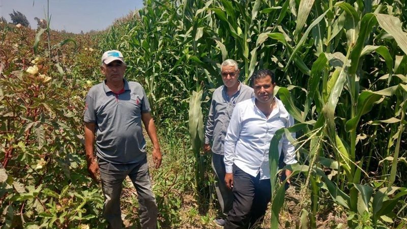 زراعة الشرقية تتابع أعمال الحصر الحيازي استعدادًا لتطبيق نظام البطاقة الإلكترونية