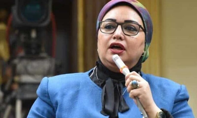 تحرك برلمانى لتنفيد مبادرة القرى المنتجة وربطها بالأسواق والاستثمار والتصدير