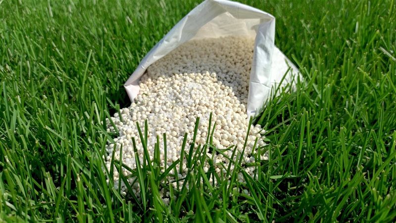 شملت جميع الأنواع، انخفاض أسعار الأسمدة اليوم في الأسواق