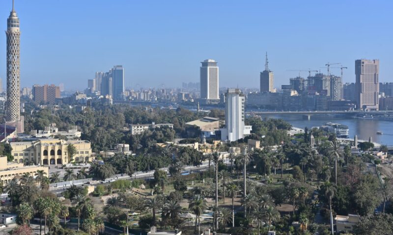 مصر.. عامل يقتل مدير مدرسة بسلاح أبيض والداخلية تكشف تفاصيل