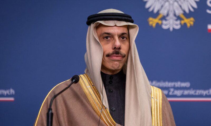 فيصل بن فرحان: من الضروري خلو مضيقي هرمز وباب المندب من أي تهديدات