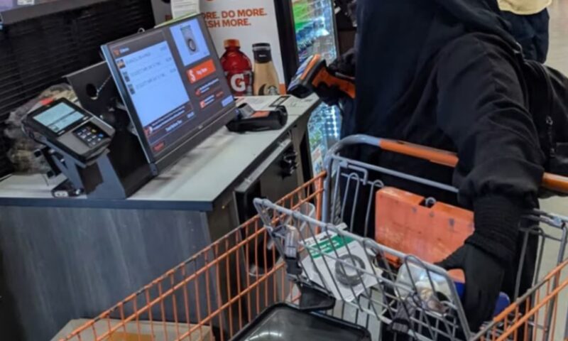 “بايعت داعش”.. القبض على أمريكية “خططت لتفجير برلمان نيويورك ثم مهاجمة ترامب”