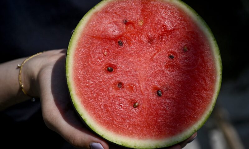 منها تحضير الزبدة.. كيف تستفيد من بذور البطيخ في الطعام؟
