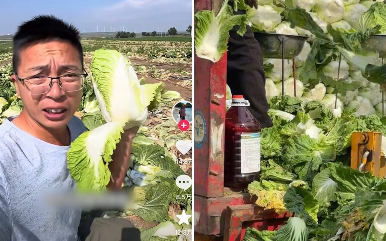 “مادة مسرطنة” لإبقاء الملفوف طازجًا.. فيديو يثير الغضب في الصين