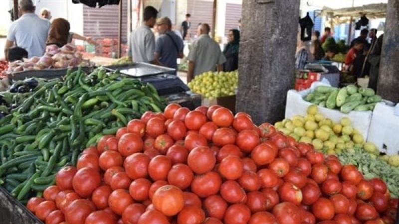 سعر الخضار اليوم، ارتفاع 10 أصناف منها الطماطم والخيار والفلفل وانخفاض البامية