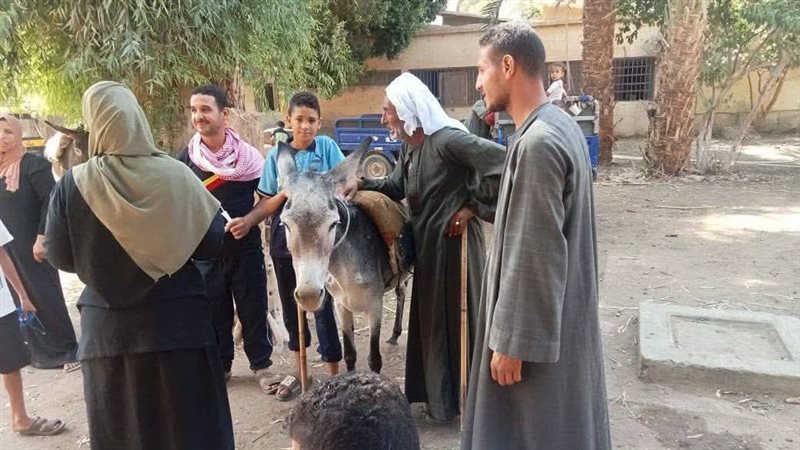 حملات تحصين مكثفة للماشية وندوات توعوية للوقاية من مرض السعار بأسيوط