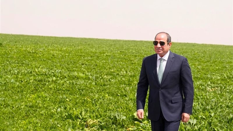 توفير السلع وضبط الأسواق واستقرار الأسعار.. توجيهات رئاسية متواصلة للحكومة بتأمين احتياجات المواطنين ومواجهة الأزمات.. والتوسع في المشروعات الزراعية والصوامع والتصنيع والتوزيع