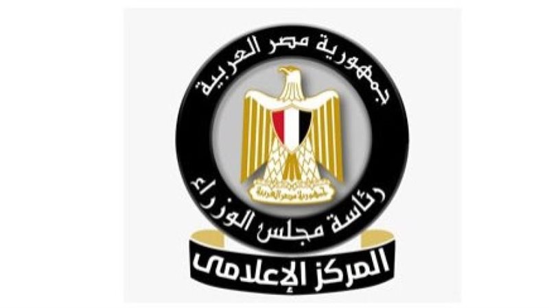 مجلس الوزراء يستعرض مواصفات سفينتي الصب الجاف “وادي النيل” و”وادي القمر”