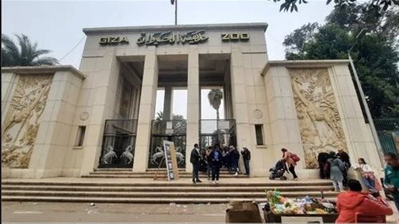 حديقة الحيوان بالجيزة.. ماذا بعد التطوير؟ (إنفوجراف)