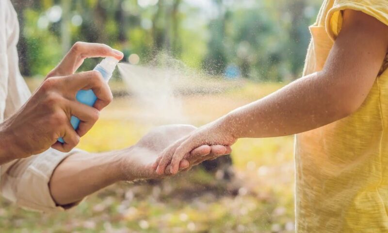 6 أسلحة فعالة منزلية الصنع لطرد البعوض