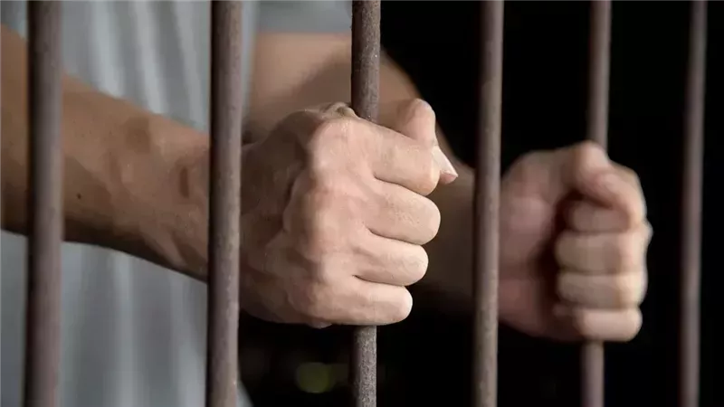 بطعنات مميتة.. أهالي كفر الشيخ يطاردون قاتل طليقته ويقيدونه في شجرة