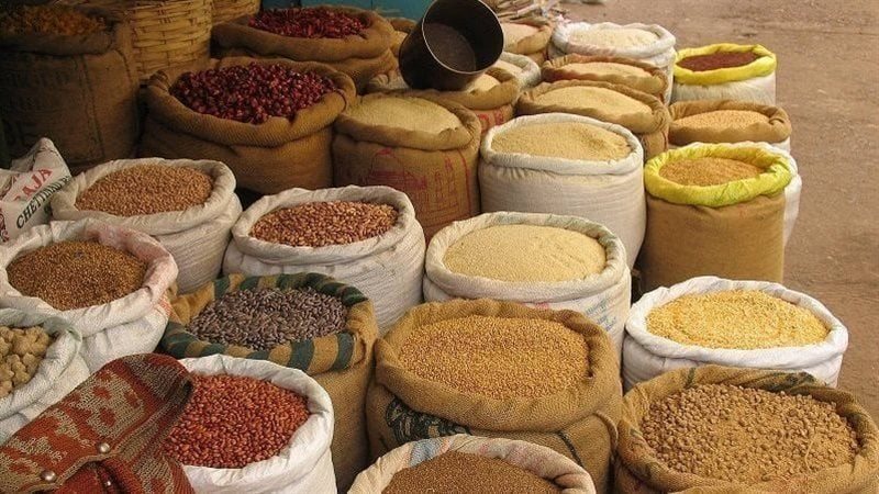 انخفاض الذرة وارتفاع الردة، أسعار الأعلاف والحبوب اليوم في الأسواق