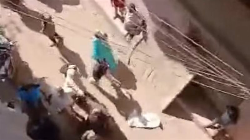 صرخات طفلة هزت القلوب، استغاثة عاجلة للداخلية بعد الاعتداء على والدتها بميت غمر (فيديو)