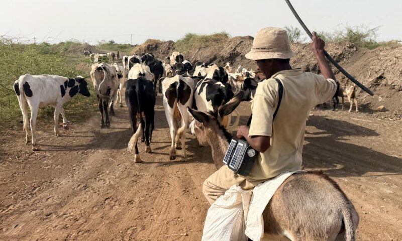الجيش السوداني: صد هجوم للدعم السريع ب250 عربة قتالية