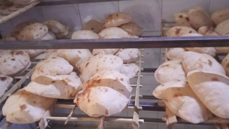 رسميا، اعتماد تكلفة جديدة لإنتاج الخبز وبدء التطبيق بالمخابز غدا ( صور)