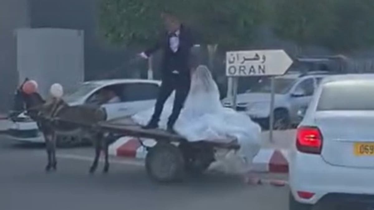 الجزائر.. فيديو لعريس ينقل عروسه بحمار يفتح الجدل حول تكاليف الأعراس