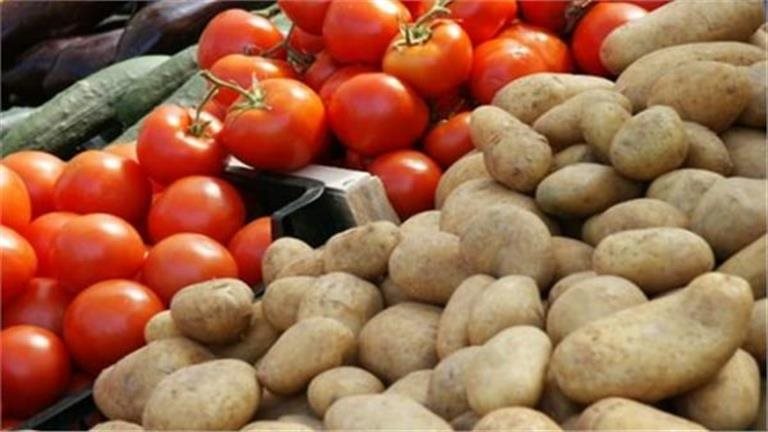 أسعار الخضار اليوم الثلاثاء 11 أغسطس.. الطماطم تسجل 21 جنيها