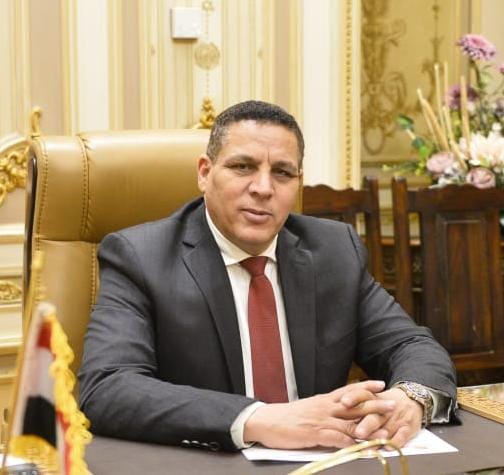نائب: زيارة الرئيس الصيني لمصر تعكس عمق الشراكة وتفتح آفاقًا جديدة للتعاون