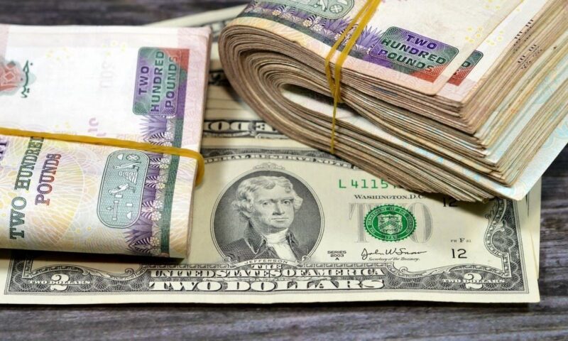 سعر الدولار في مصر يسجل تقلبات حذرة