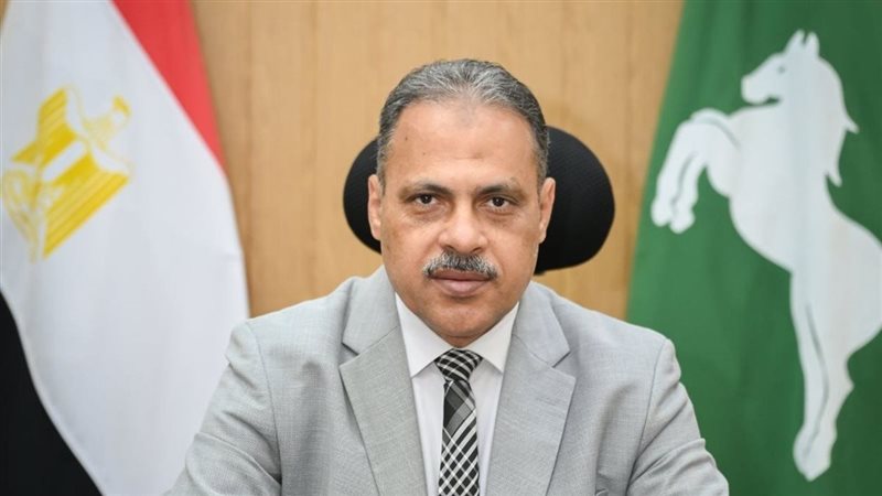 محافظ الشرقية يعلن انتهاء موسم توريد القمح وتصدر المحافظة المركز الأول