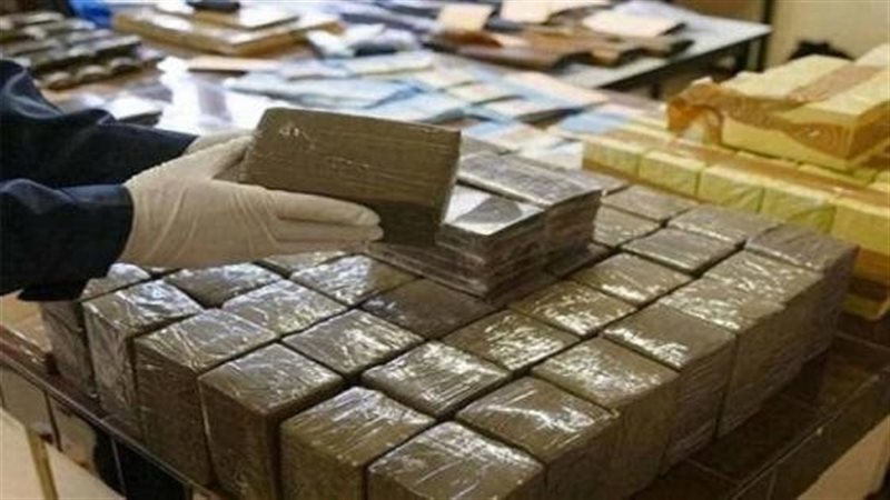 تأجيل استئناف شقيقين على حكم سجنهما 10 سنوات في حيازة مخدرات بالبساتين